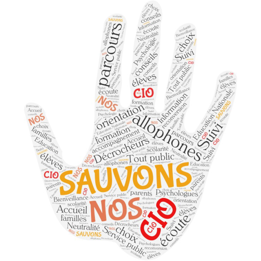 Sauvons nos CIO.png (548774 octets)